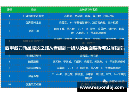 西甲潜力新星成长之路从青训到一线队的全面解析与发展指南
