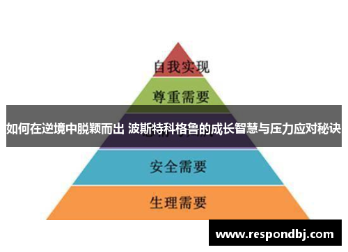 如何在逆境中脱颖而出 波斯特科格鲁的成长智慧与压力应对秘诀