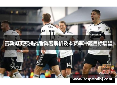 富勒姆英冠挑战者阵容解析及本赛季冲超目标展望